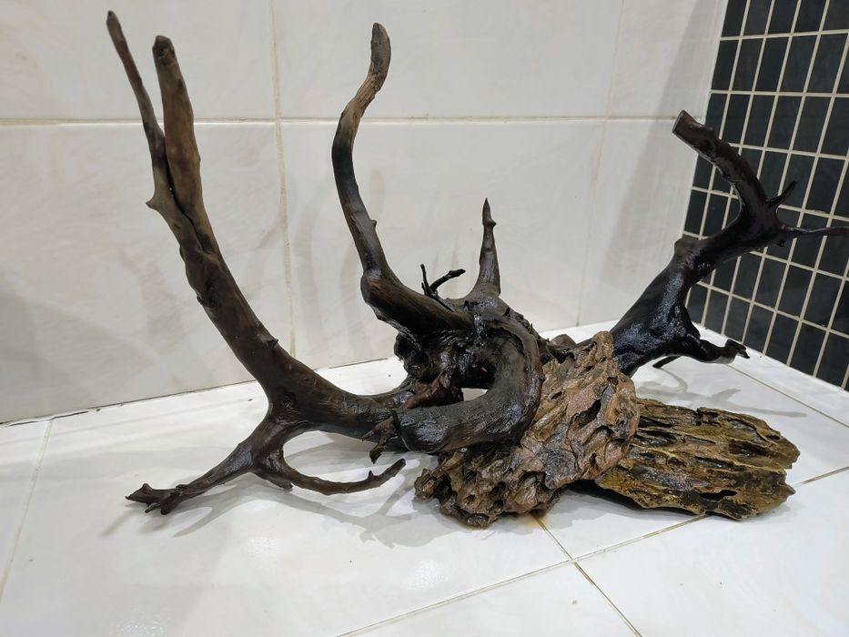 Korzeń i Kamienie.Gotowa aranżacja akwarium