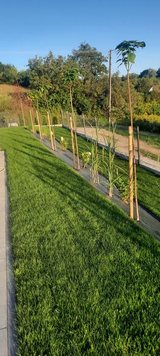 Zakładanie i pielegnacja ogrodów