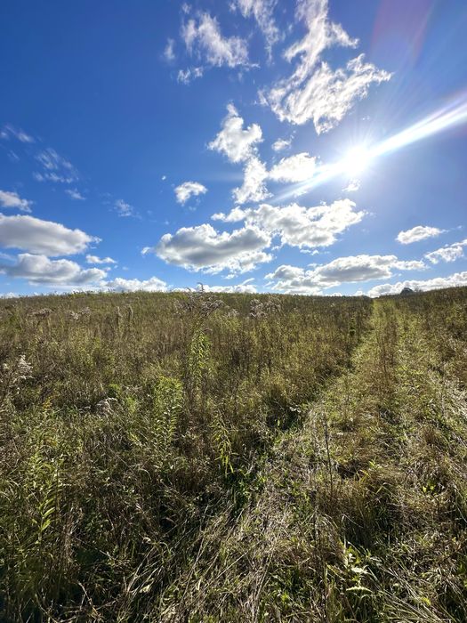 ПРОДАЖ‼️ЗЕМЕЛЬНА ДІЛЯНКА‼️Земля. Земельні ділянки‼️с.Велика Омеляна
