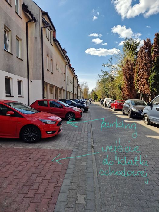 Zdjęcie 8
