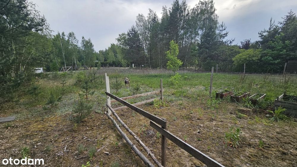 Działka budowlana w Ostrówku, wieś, las, cisza i spokój