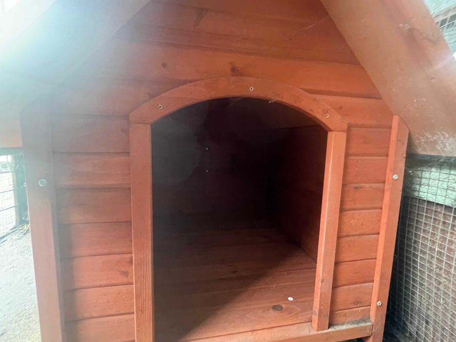 Casota de Cao Resistente e em Madeira