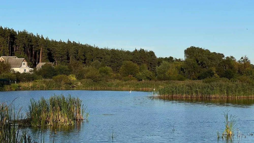 Ділянка 12,5 соток зі своїм пляжем та видом на ліс, термінова ціна!