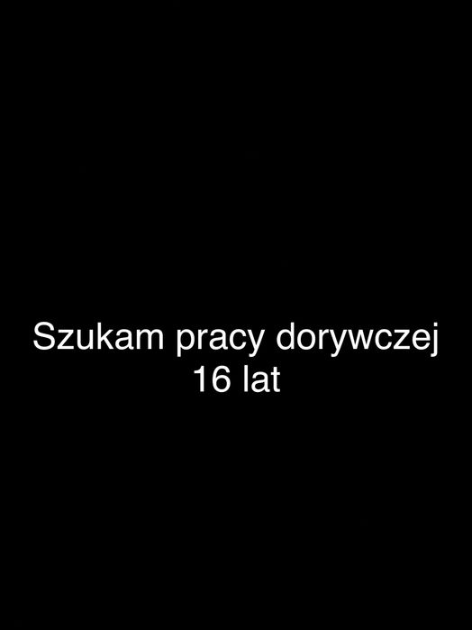 Praca dorywcza
