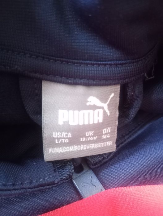 Dres puma 164 13-14 lat