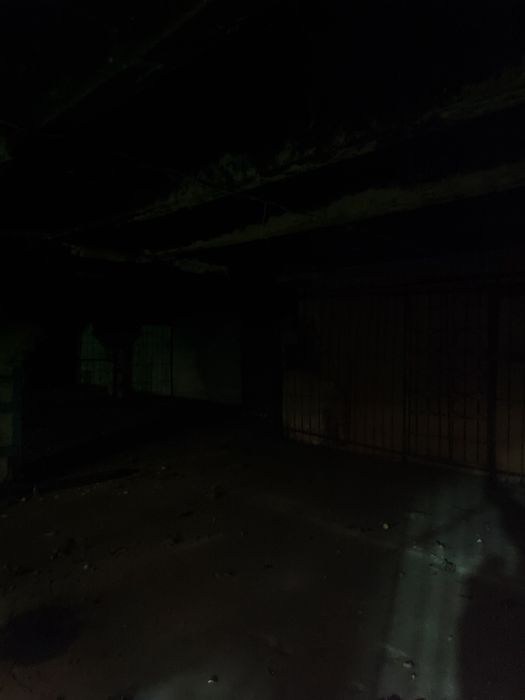 Монокуляр нічного бачення AGM Wolf-14 NL2