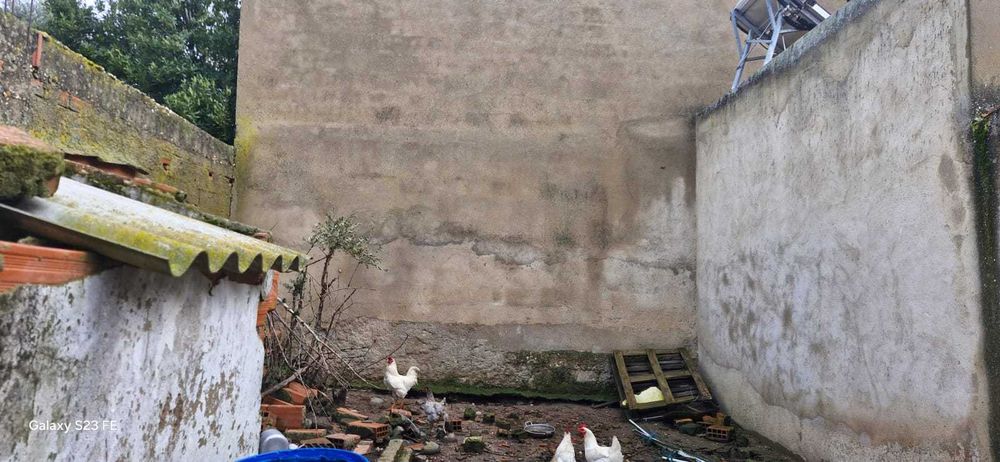 Casa para recuperar com quintal em Figueira de Cavaleiros