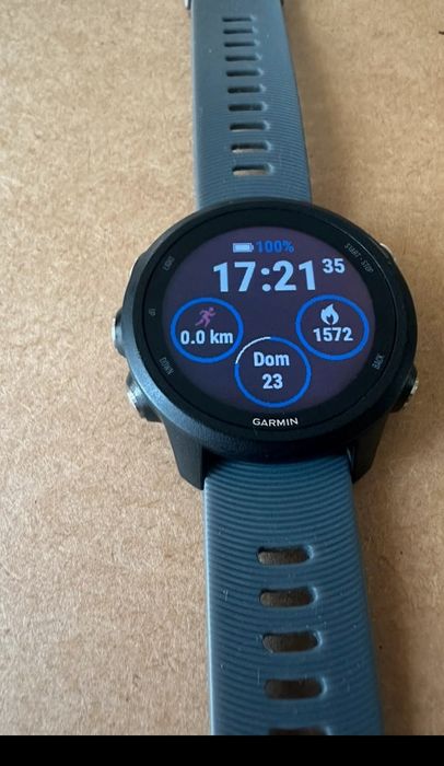 Garmin Forerunner 24564585320825217121