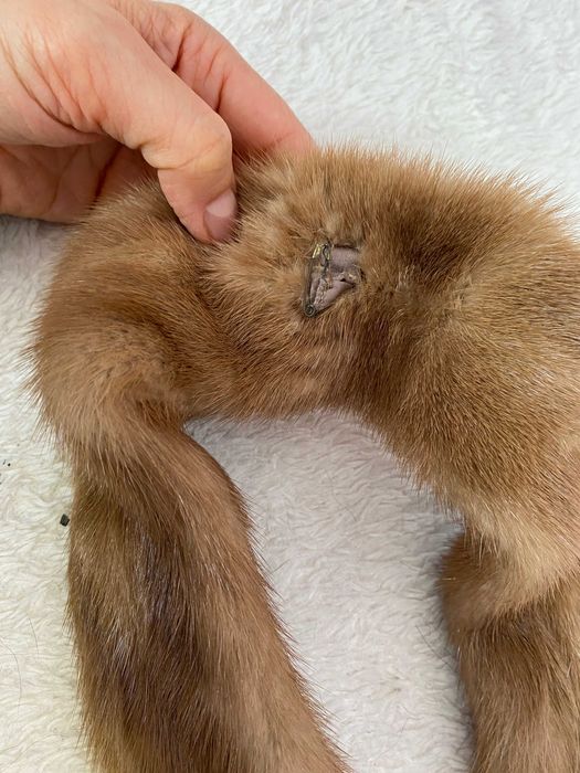 мех норки с лапками