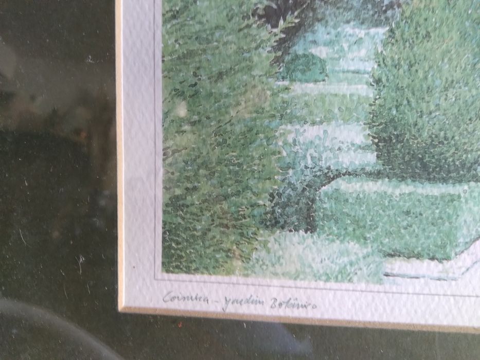 Aguarela em moldura 38x30