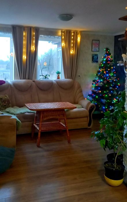 Продам 4 дома и 4га земли