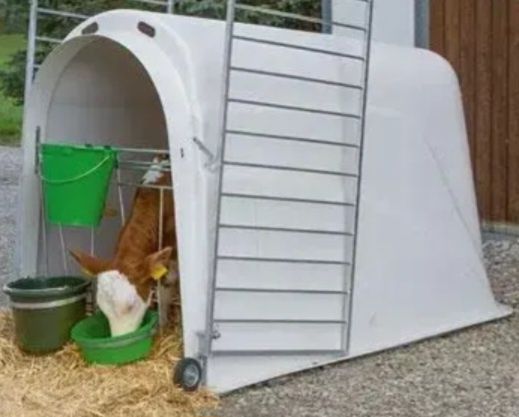 Домик для телёнка.