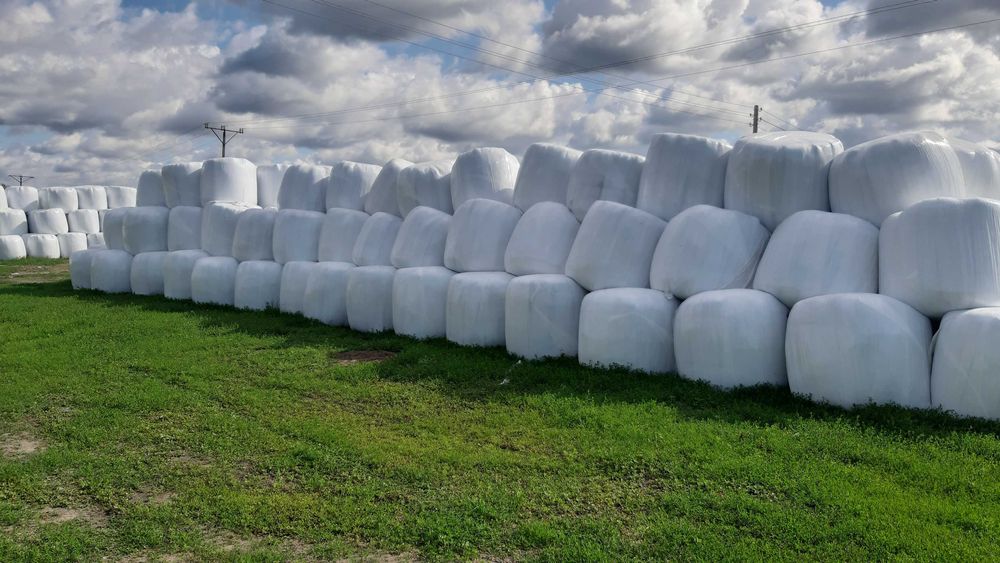 Sprzedam Siano Dla Bydła,Koni