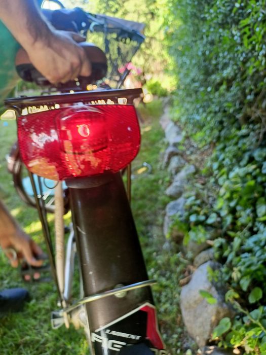 Rower miejski SENATOR