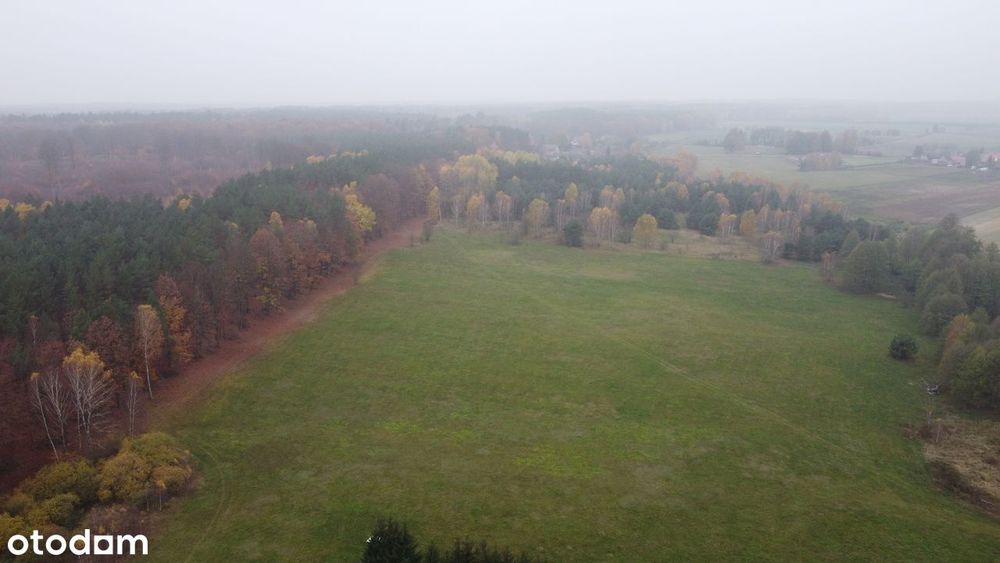 Działki budowlane w miejscowości Mosina gm. Witnica