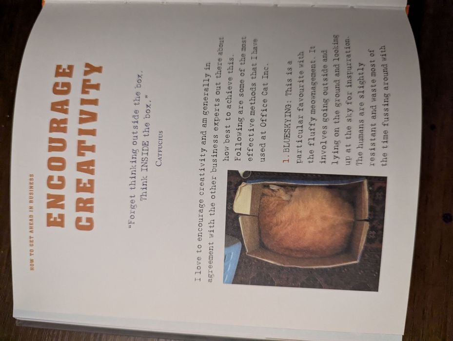 Книга англійською How to get ahead in business with office cat