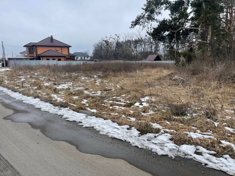 Земля . Кутова ділянка біля лісу с.Святопетрівське