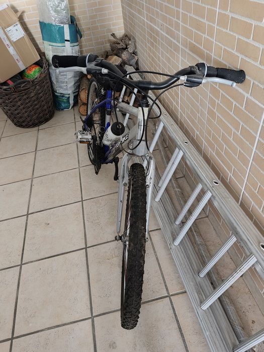 Bicicleta Topbike TT