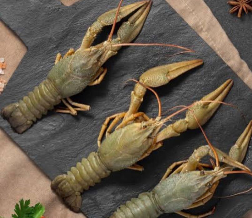 Продам живі раки та варені