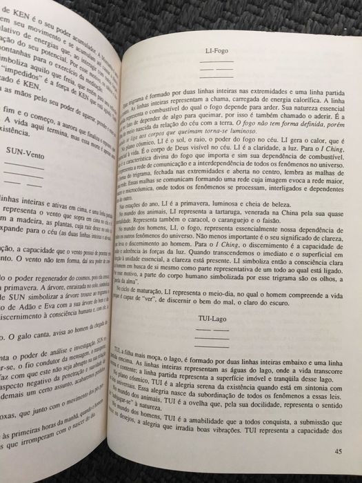 Livro I Ching Ely Brito