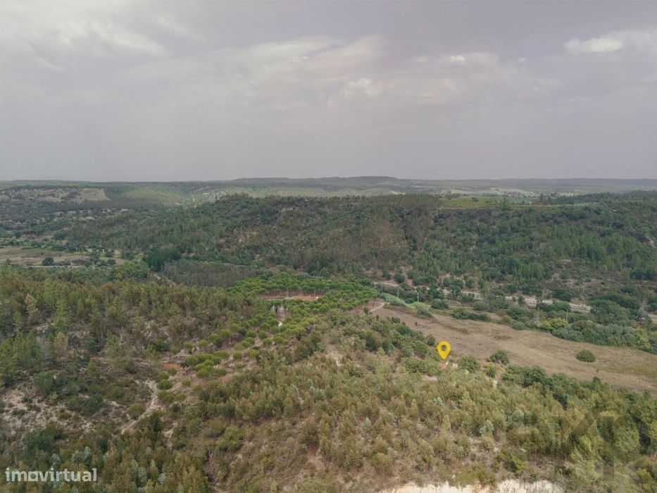 Quinta Florestal de 12,5 Hectares com Casa de Lavrador Centenária em B