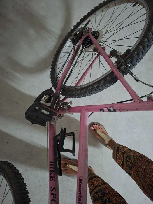 Bicicleta quadro feminino, roda 26