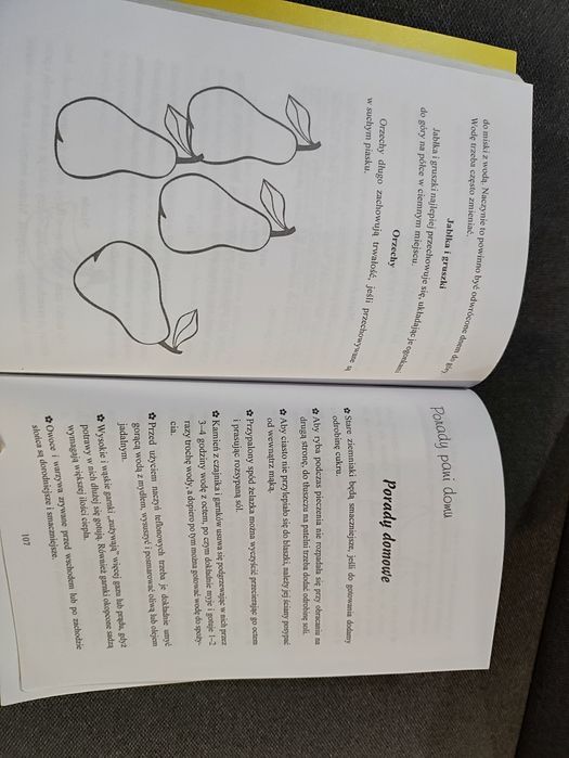 Książka Dobre rady na lato Sieradzka