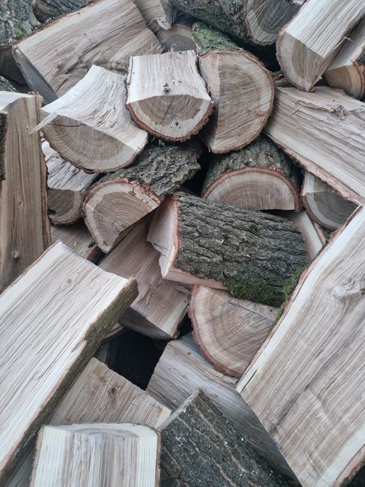 Drewno opałowe, opał  drzewo