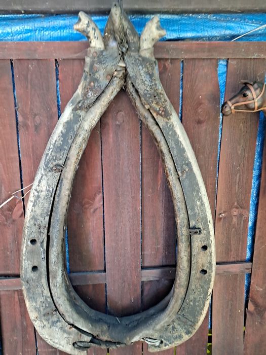 Chomonto do renowacji