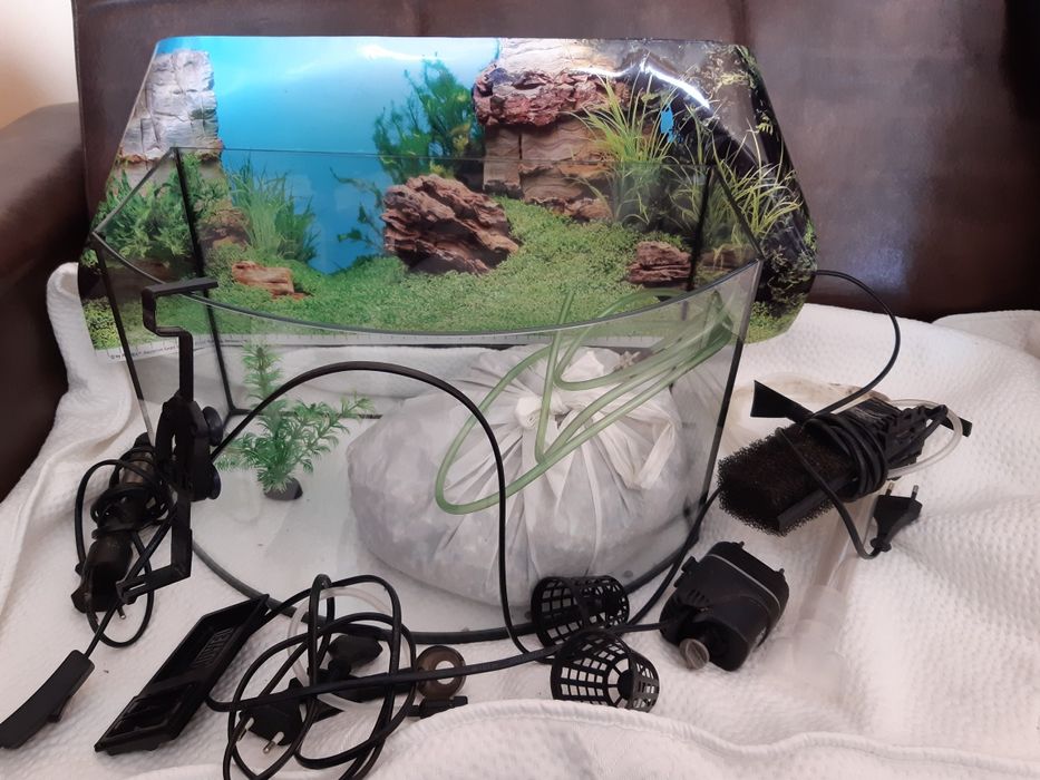 Akwarium i akcesoria