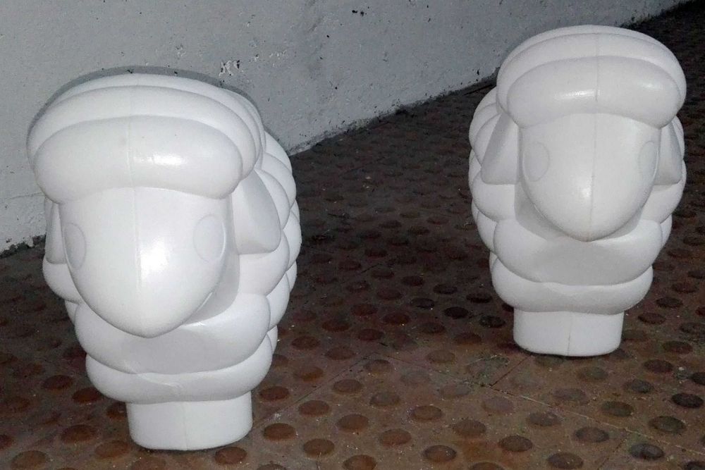 Ovelhas brancas em plástico