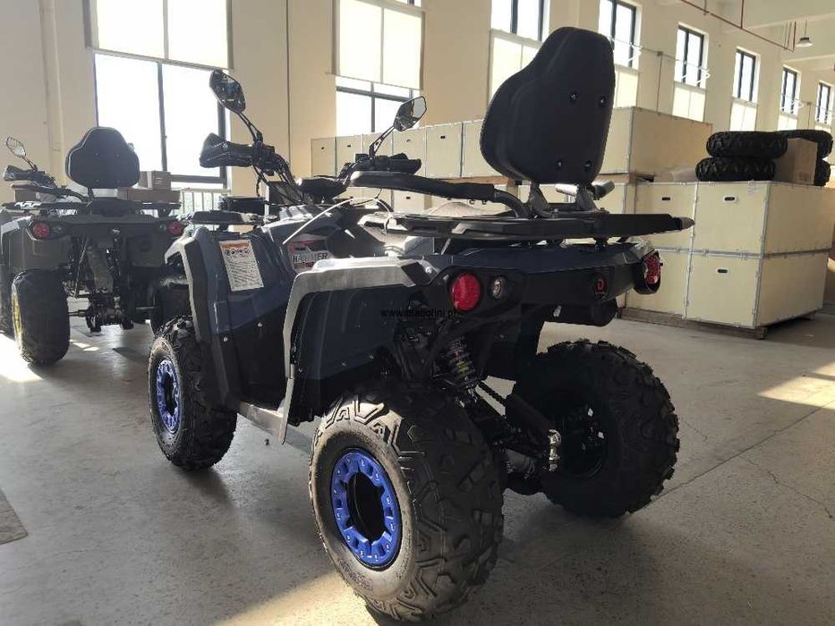 Quad DIABOLINI 300 PRO XL ! Nowy ! Transport ! GWARANCJA ! Raty !