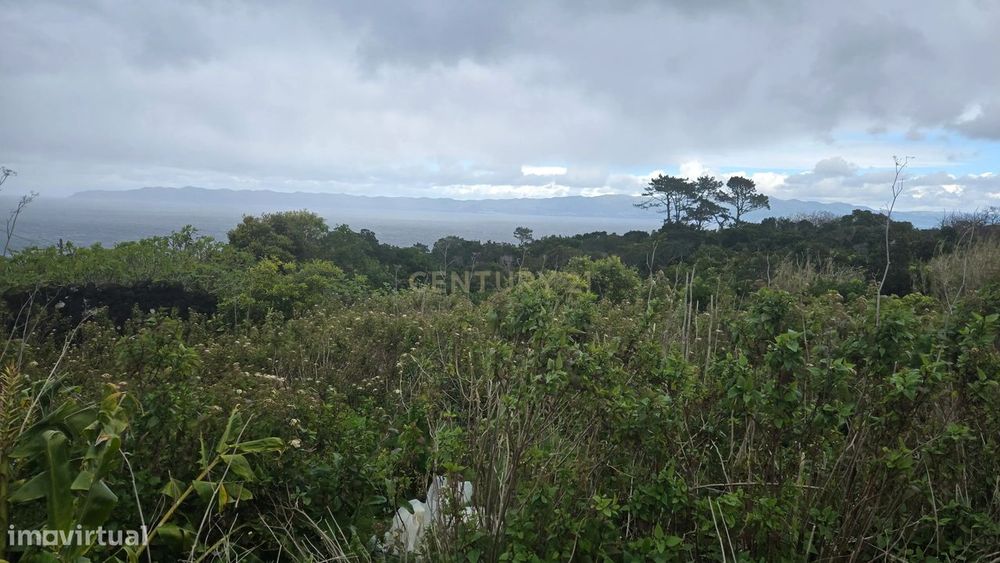 Terreno Urbano em Santo António, Ilha do Pico