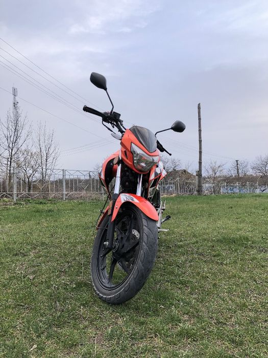 Продам Ґіон пантера