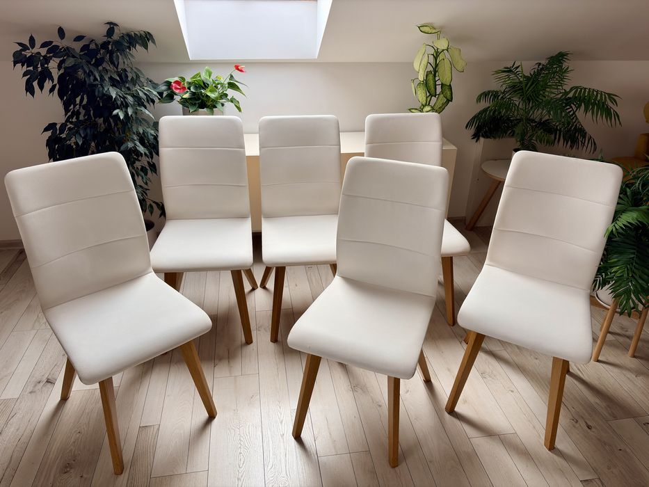 6 krzesel firmy Paged