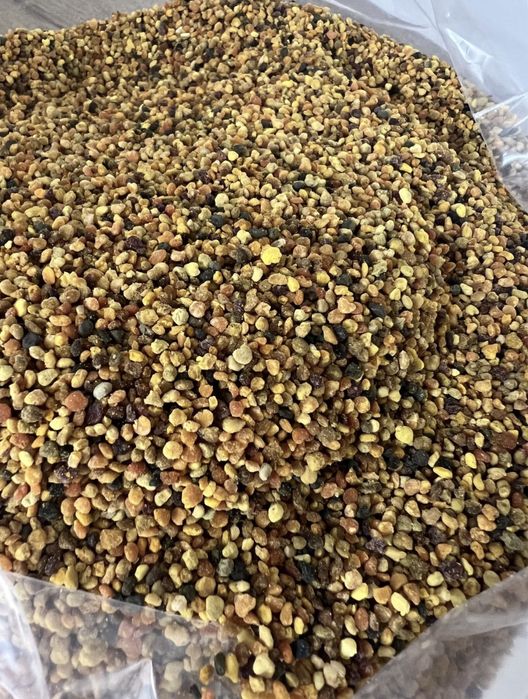 pyłek, pyłek pszczeli kwiatowy kolorowy miód pasieki słoik