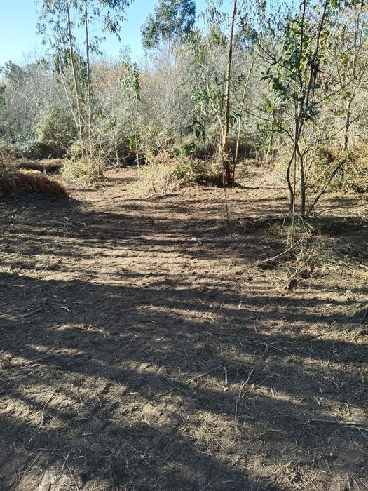 Terreno com uma área de 8180 m2.

Área de  produção Agrícola.