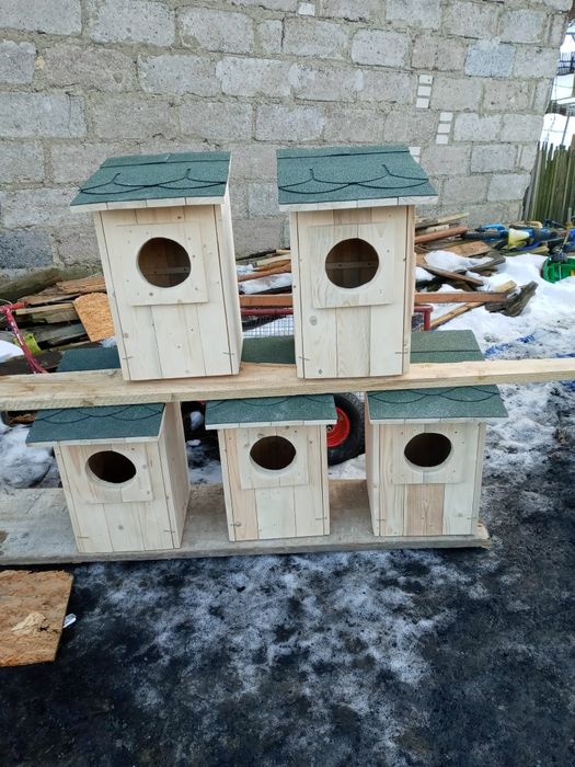 Budki dla ptaków polecam