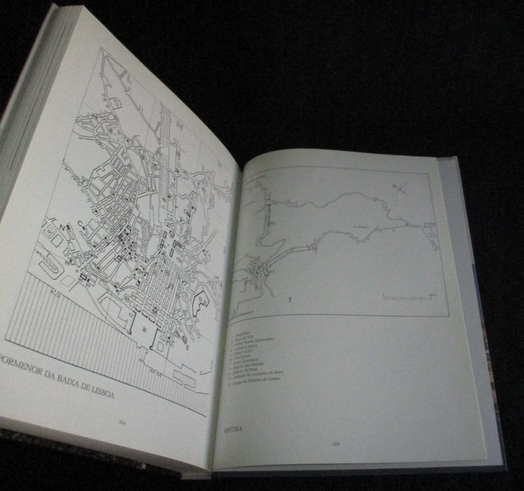 Livro Imagens do Portugal Queiroziano A. Campos Matos Livros Horizonte