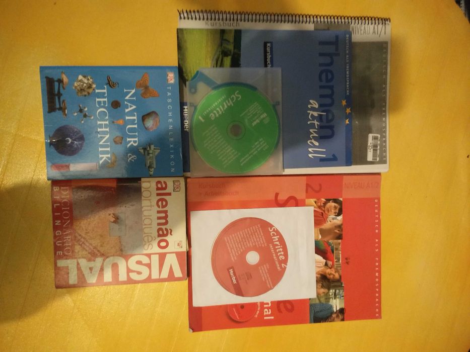 Conjunto de Livros e Dicionários de língua Alemã