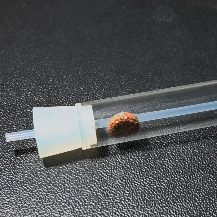 JBL Placollet (pułapka na płazińce)