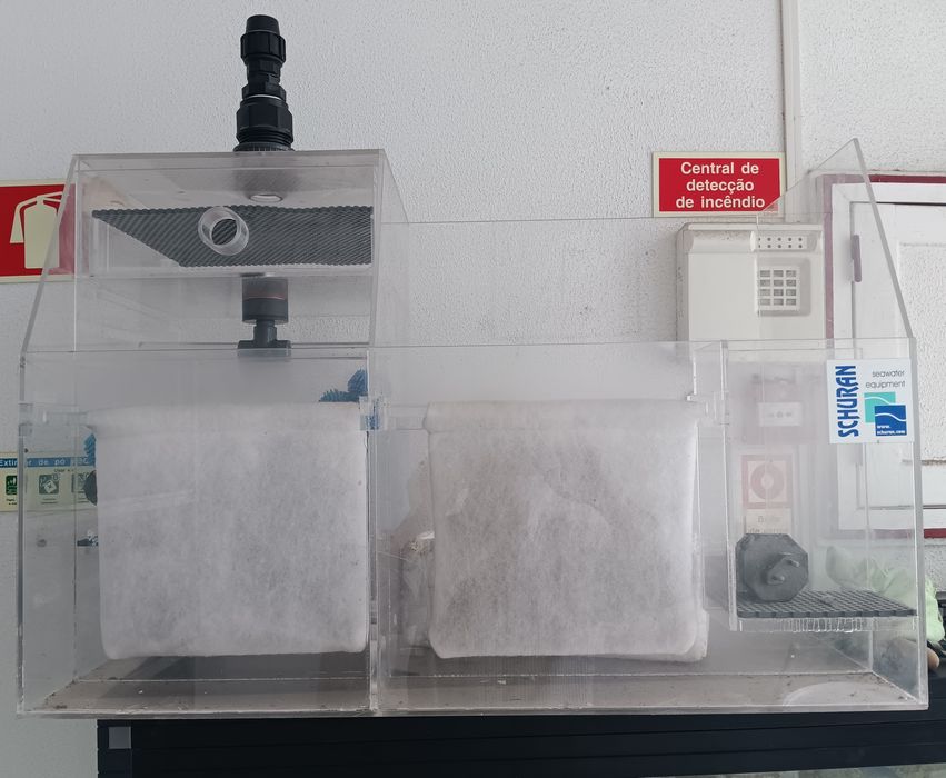 Samp Shuran para água salgada em bom estado.