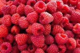 продам сажанці малини різних сортів