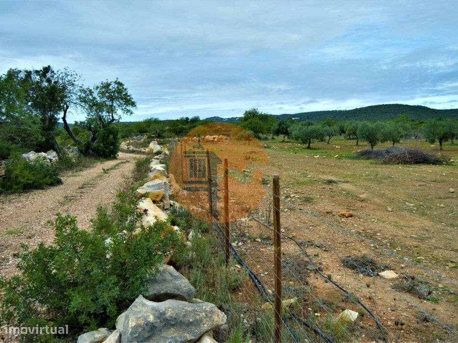 Terreno Rústico de 14020m2 vedado e com Furo