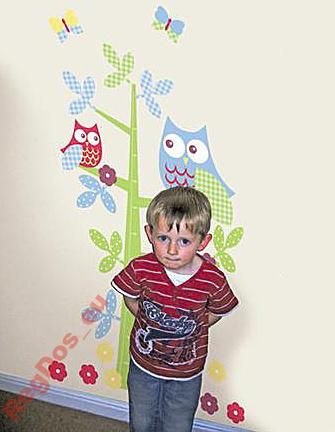 Miarka Wzrostu Sowy Na Drzewie Naklejka Naklejki