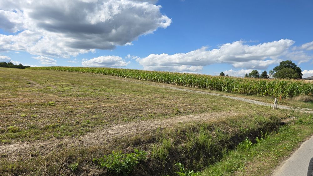 Działka budowlana z warunkami zabudowy 16 A .  Dynów ul. Igioza