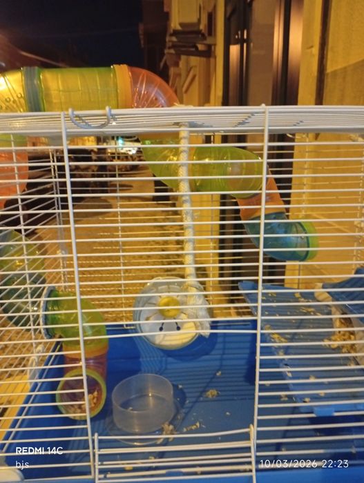 Gaiola grande para hamster com acessórios completos