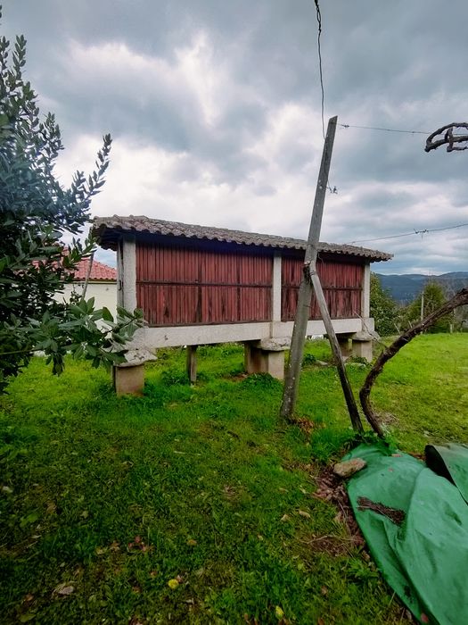 Quinta com 20 000 M2 em Santa Marinha - Ribeira Pena