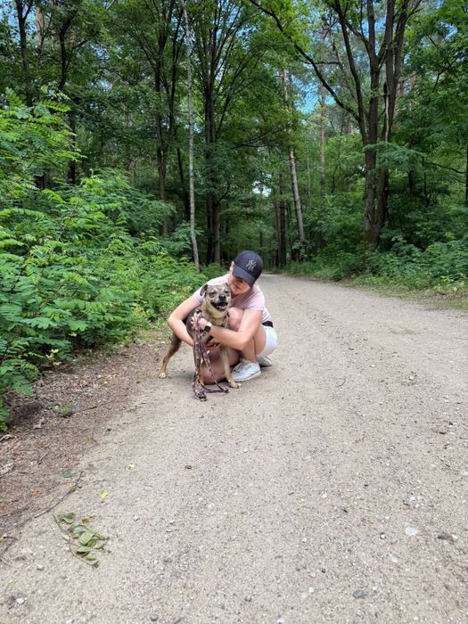 Spokojny pies do adopcji – wierny towarzysz na lata