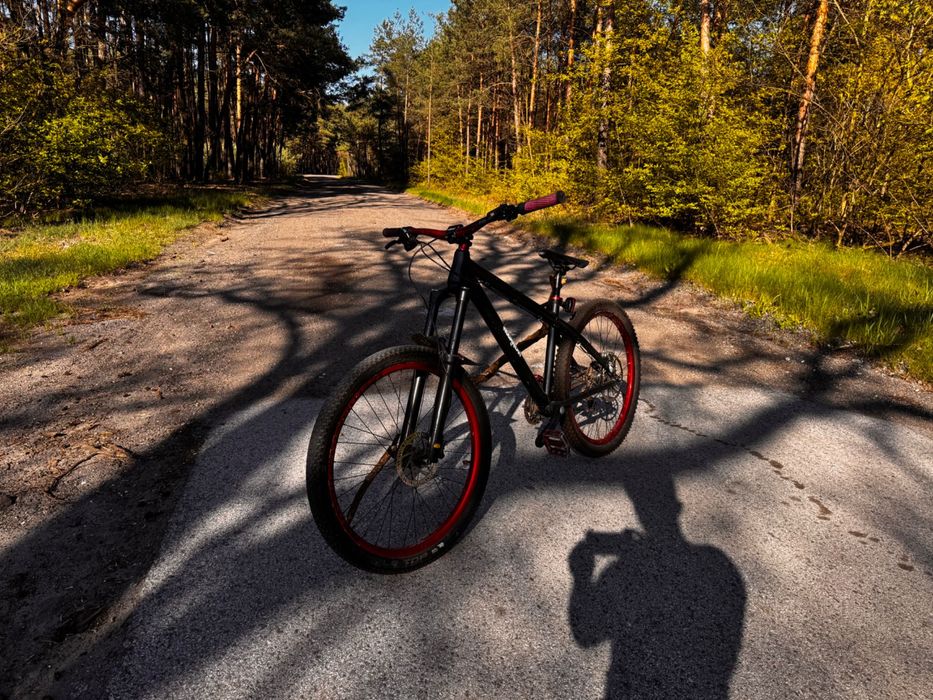 Dartmoor Hornet 2015